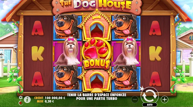 Gameplay du jeu The Dog House